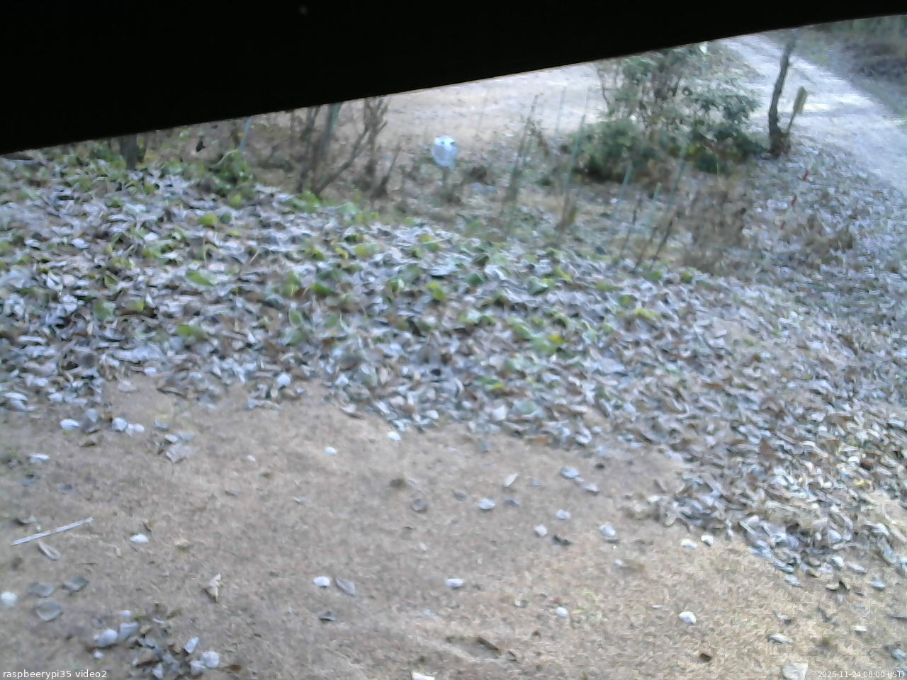 長野県菅平高原 ゆたか山荘 駐車場 2025/11/24 08:00