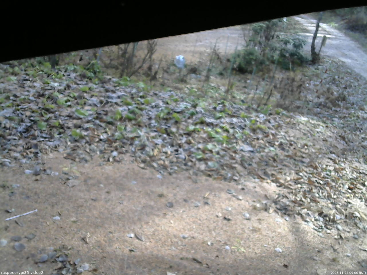 長野県菅平高原 ゆたか山荘 駐車場 2025/11/24 09:00