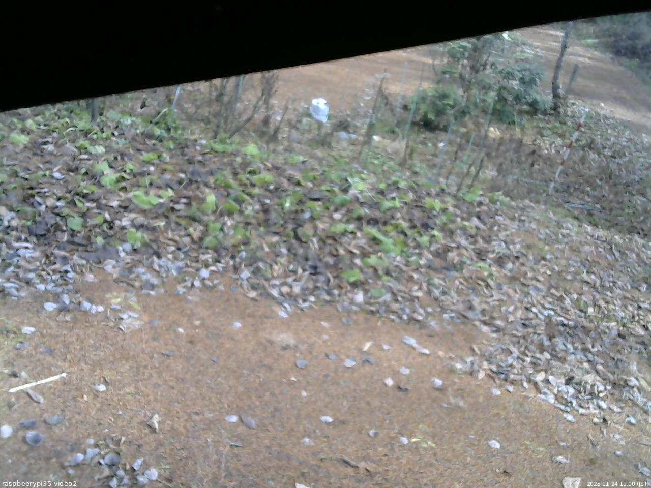 長野県菅平高原 ゆたか山荘 駐車場 2025/11/24 11:00