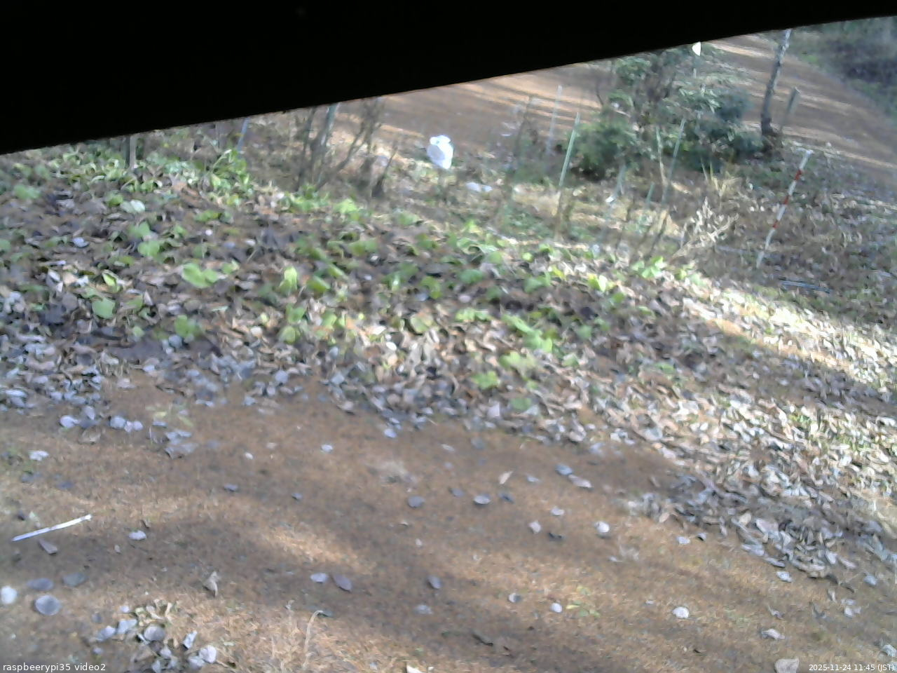 長野県菅平高原 ゆたか山荘 駐車場 2025/11/24 11:45