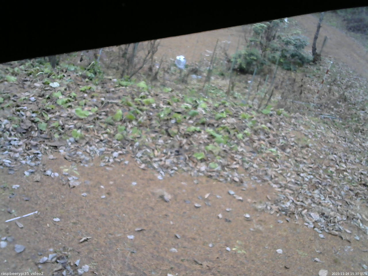 長野県菅平高原 ゆたか山荘 駐車場 2025/11/24 15:30