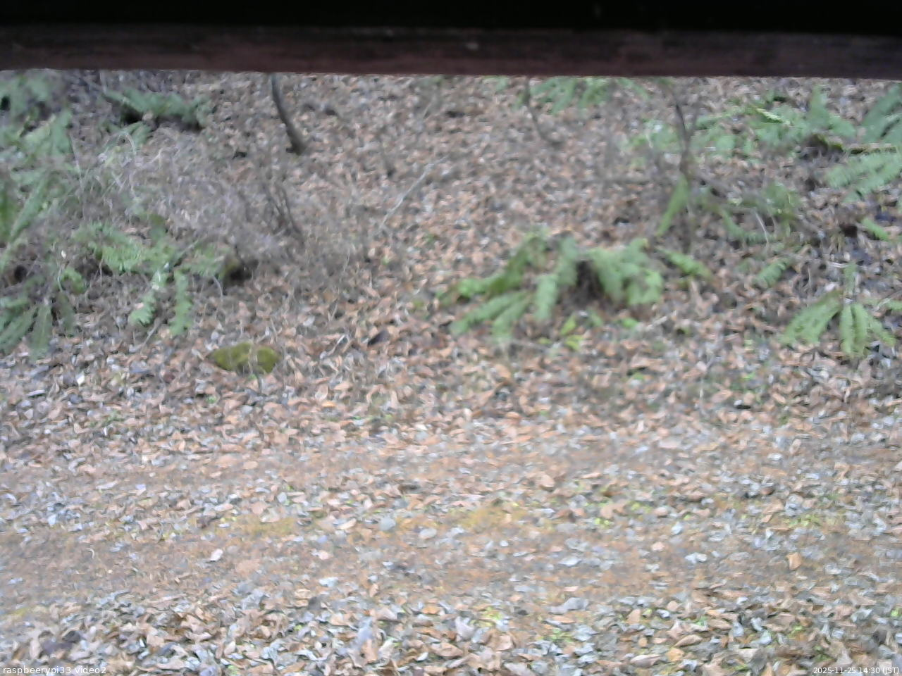 長野県菅平高原 ゆたか山荘 南側 2025/11/25 14:30
