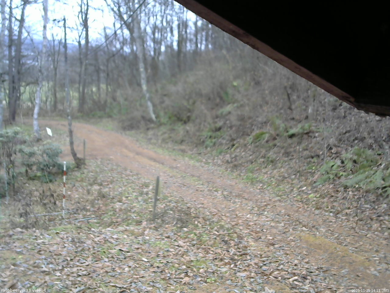 長野県菅平高原 ゆたか山荘 東側(坂下) 2025/11/25 14:15