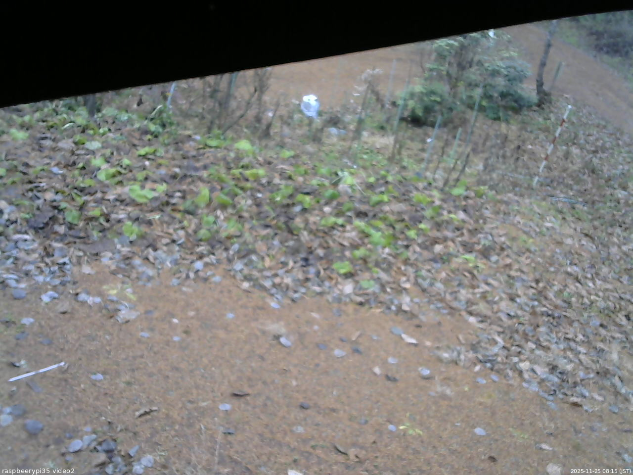 長野県菅平高原 ゆたか山荘 駐車場 2025/11/25 08:15