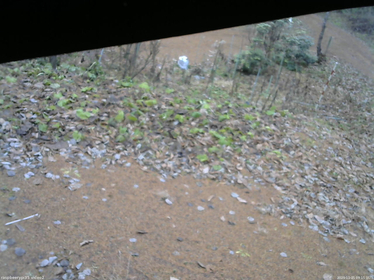 長野県菅平高原 ゆたか山荘 駐車場 2025/11/25 09:15