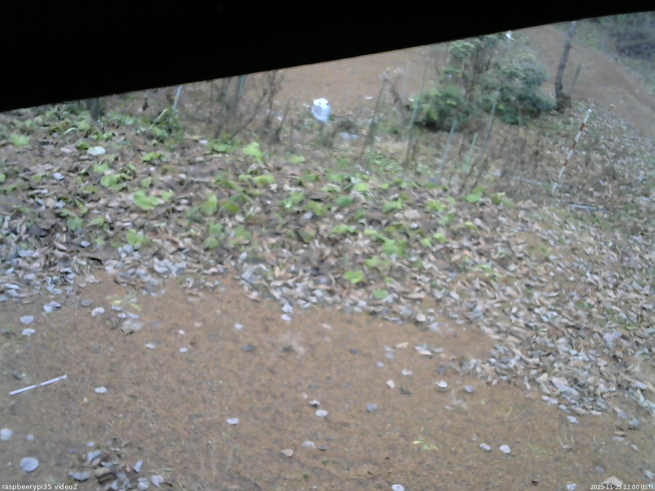 長野県菅平高原 ゆたか山荘 駐車場 2025/11/25 12:00