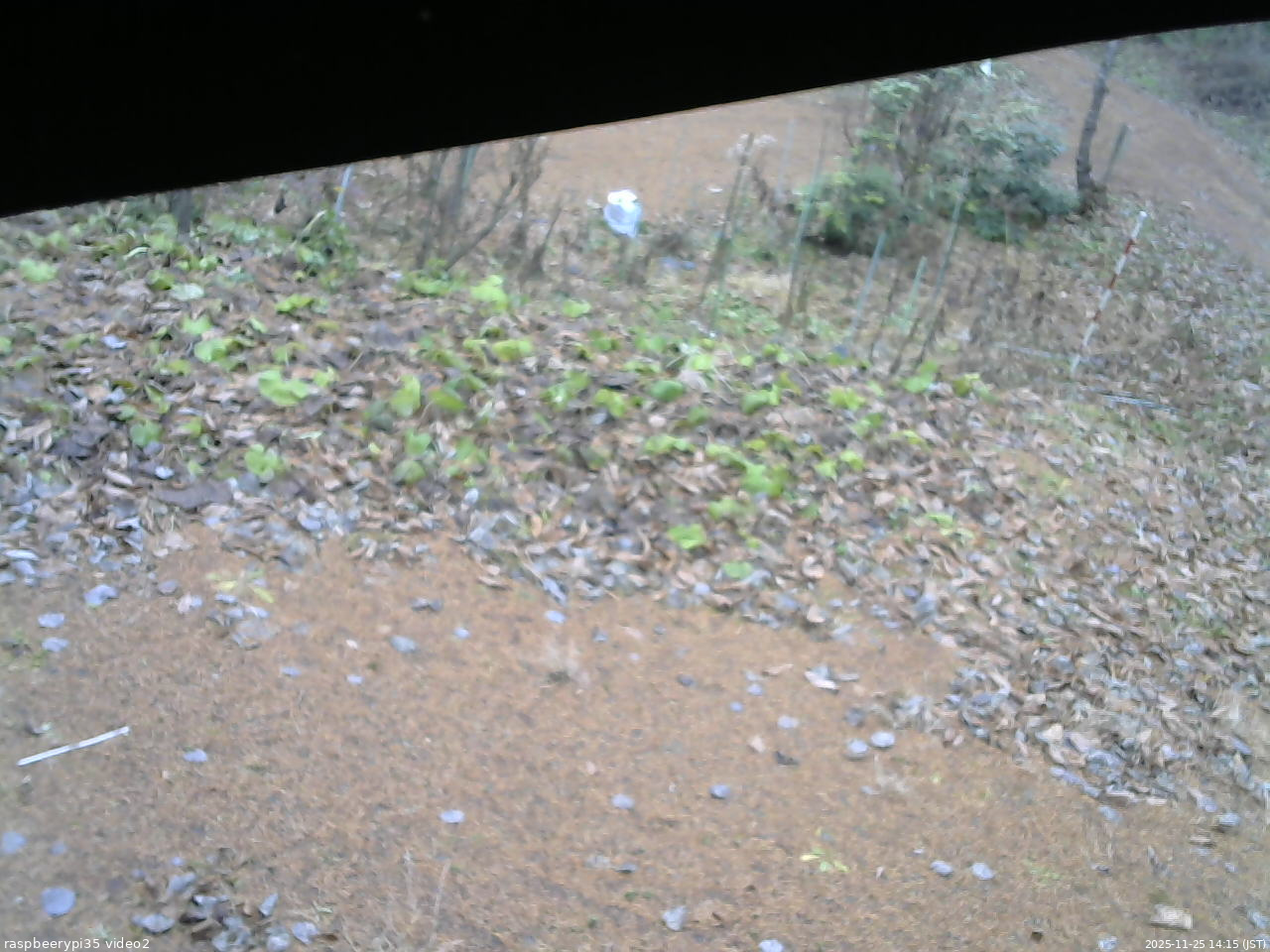 長野県菅平高原 ゆたか山荘 駐車場 2025/11/25 14:15