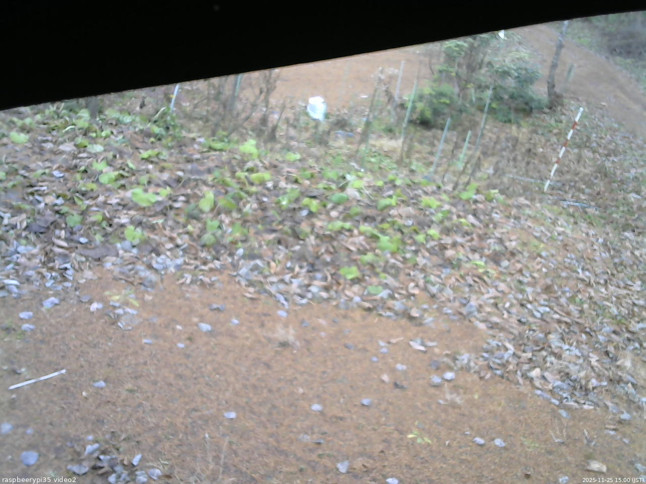 長野県菅平高原 ゆたか山荘 駐車場 2025/11/25 15:00