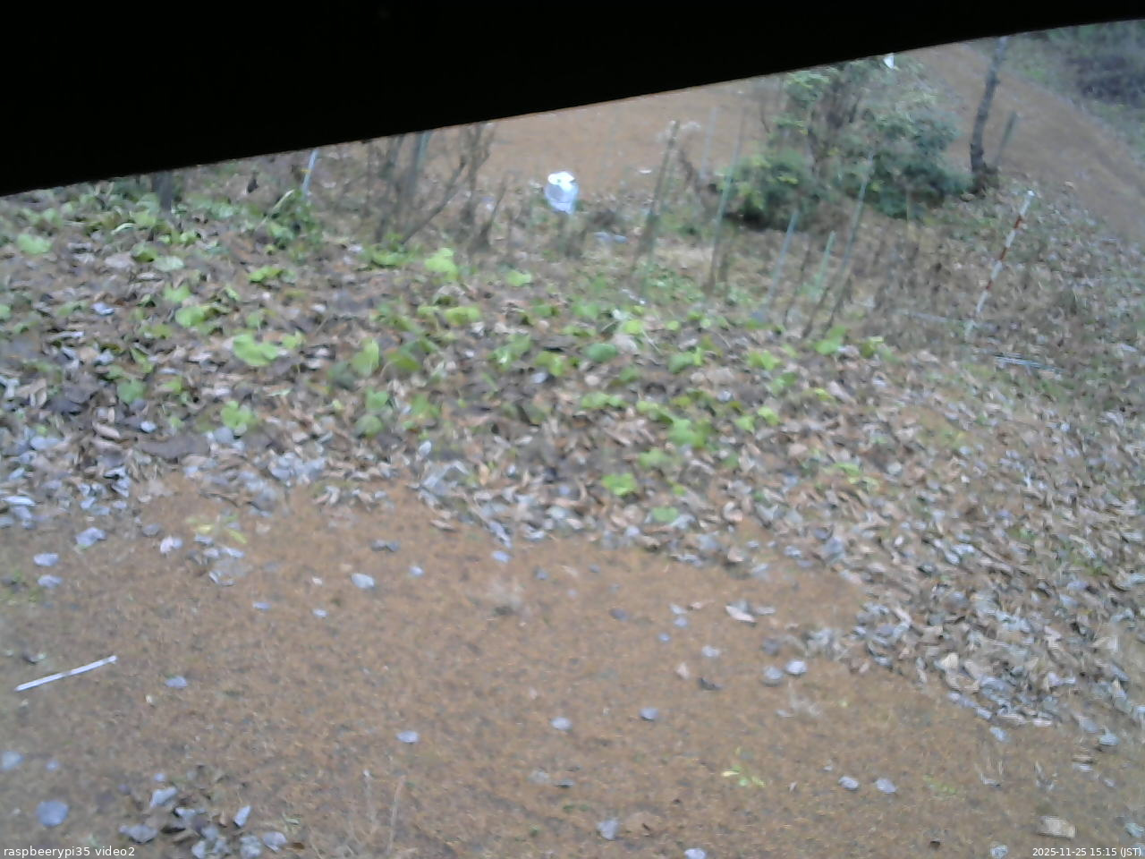 長野県菅平高原 ゆたか山荘 駐車場 2025/11/25 15:15