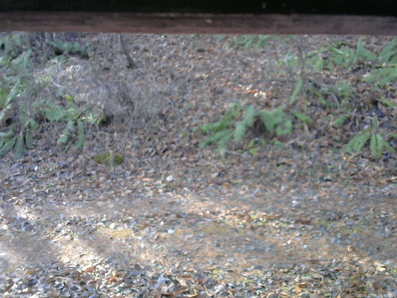 長野県菅平高原 ゆたか山荘 南側 2025/11/26 08:45