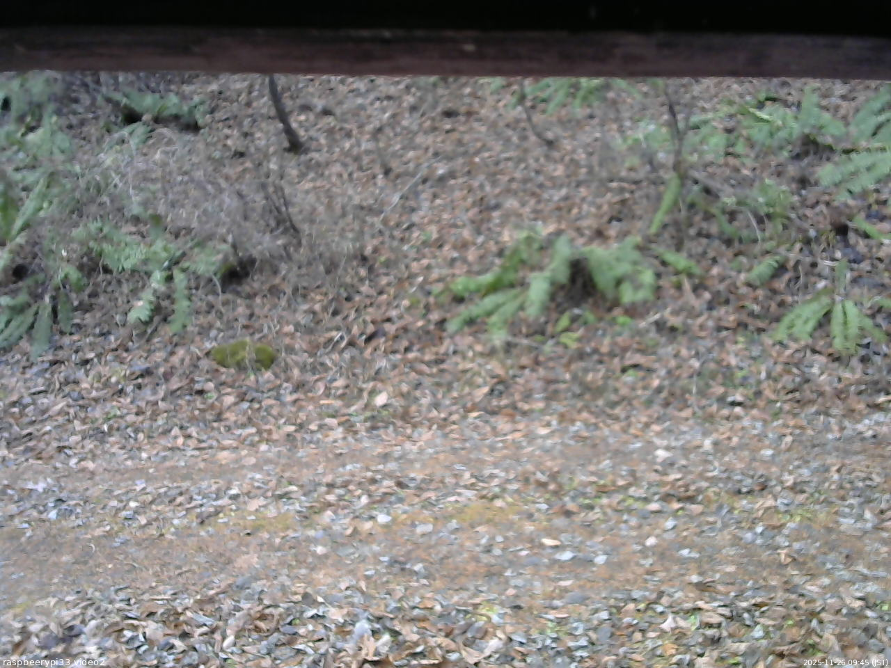 長野県菅平高原 ゆたか山荘 南側 2025/11/26 09:45