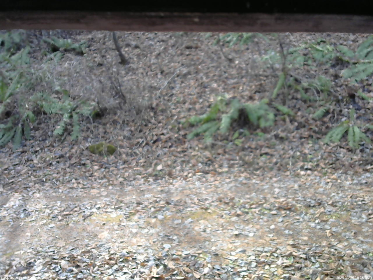 長野県菅平高原 ゆたか山荘 南側 2025/11/26 10:15
