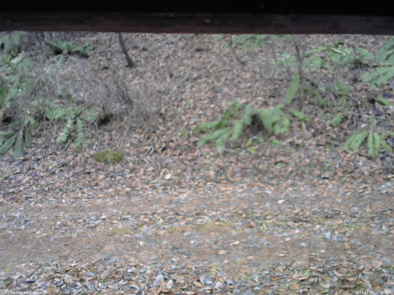 長野県菅平高原 ゆたか山荘 南側 2025/11/26 11:00