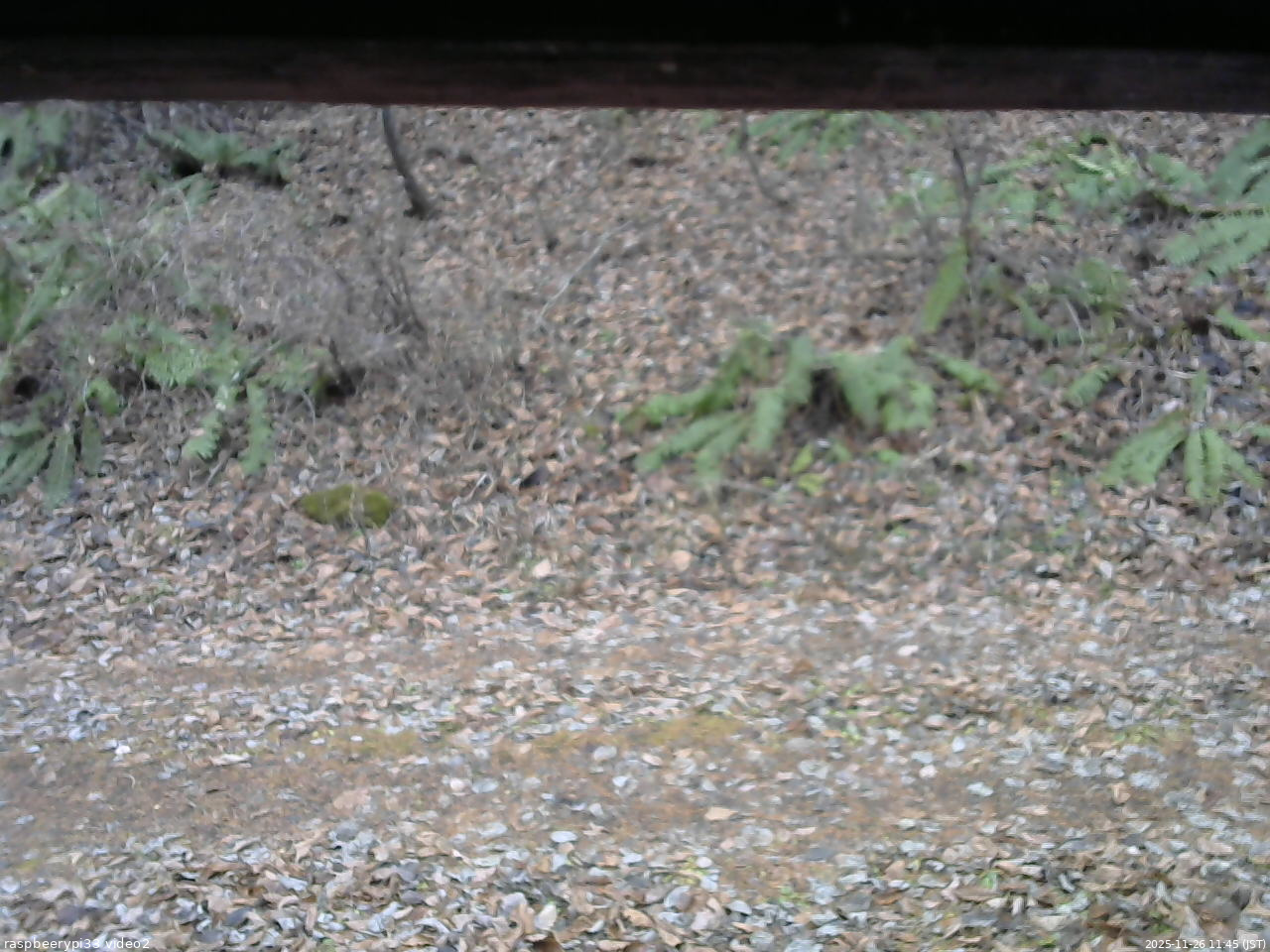 長野県菅平高原 ゆたか山荘 南側 2025/11/26 11:45
