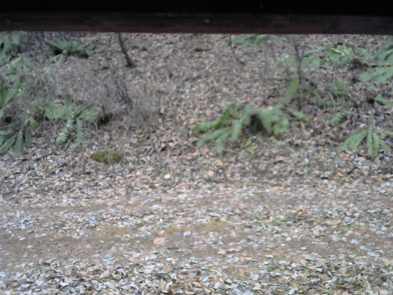 長野県菅平高原 ゆたか山荘 南側 2025/11/26 12:30