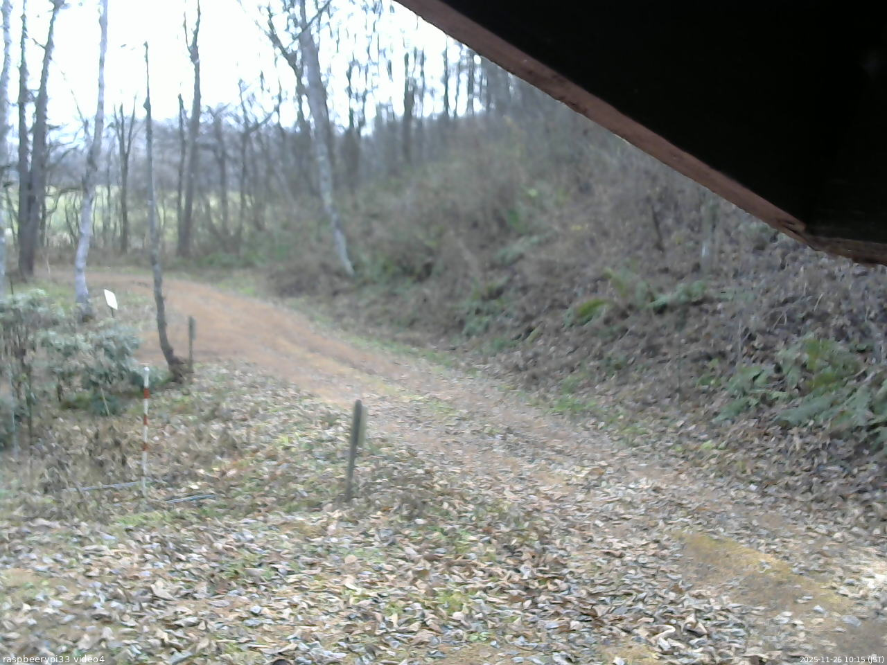 長野県菅平高原 ゆたか山荘 東側(坂下) 2025/11/26 10:15