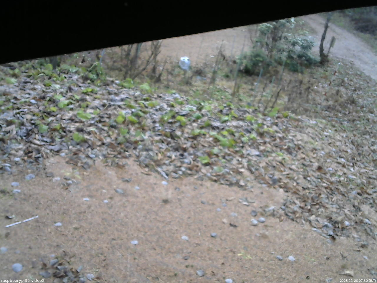 長野県菅平高原 ゆたか山荘 駐車場 2025/11/26 07:30