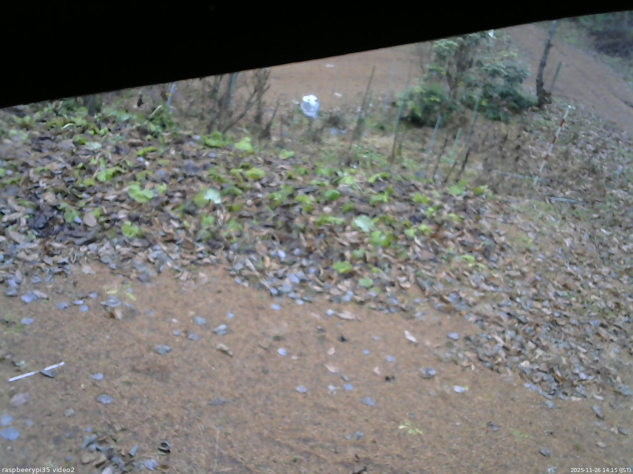 長野県菅平高原 ゆたか山荘 駐車場 2025/11/26 14:15