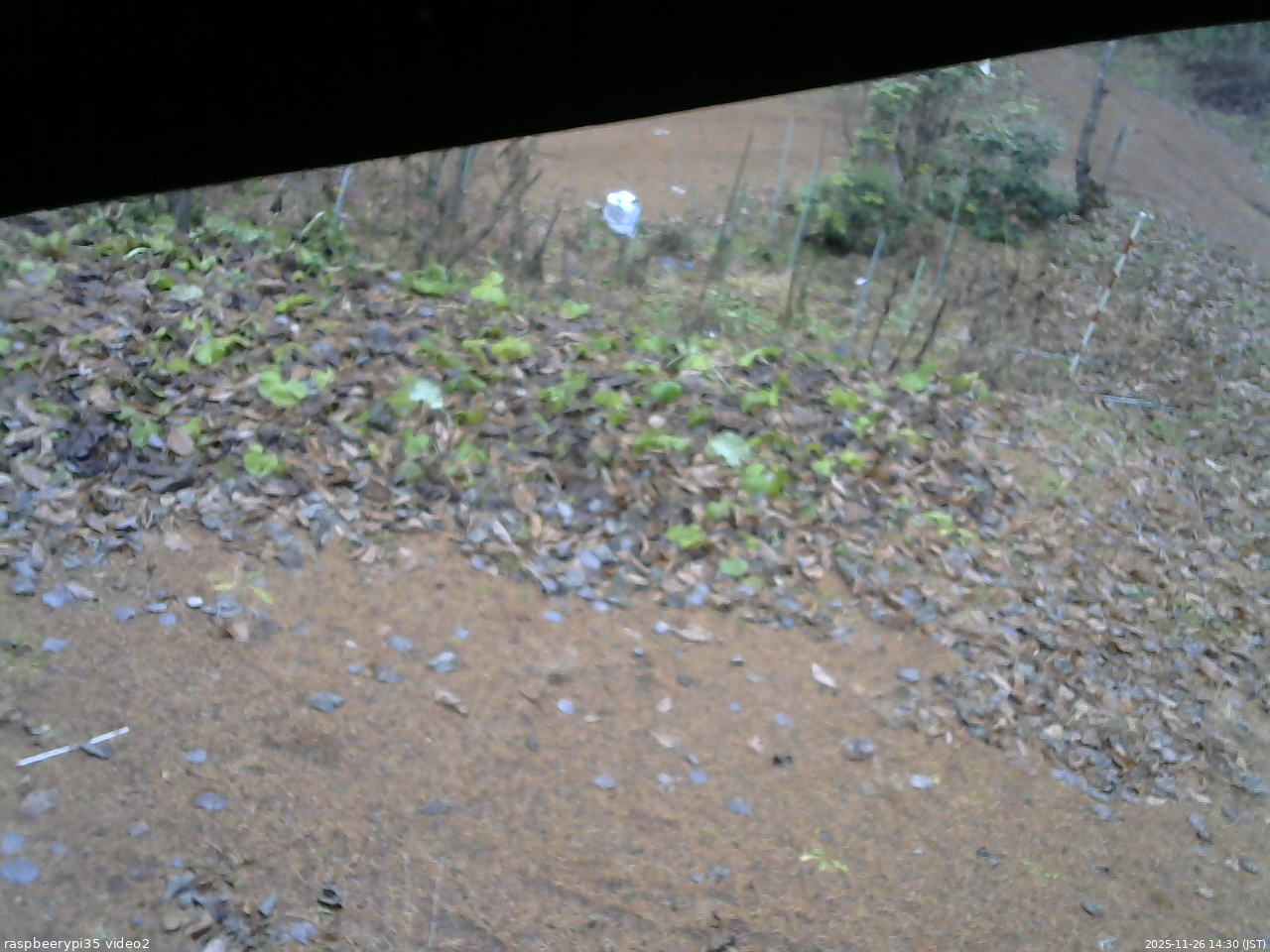 長野県菅平高原 ゆたか山荘 駐車場 2025/11/26 14:30