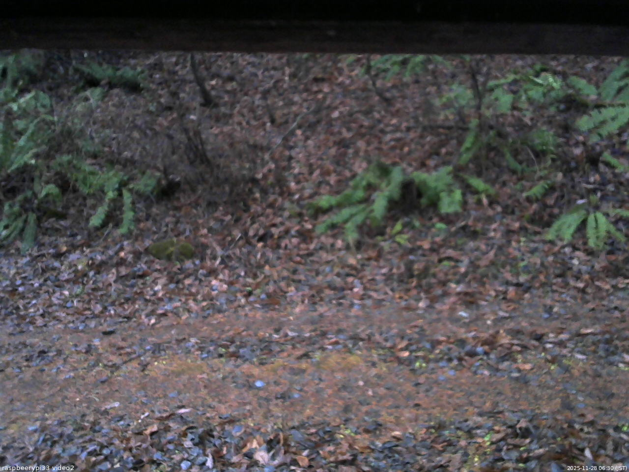 長野県菅平高原 ゆたか山荘 南側 2025/11/28 06:30