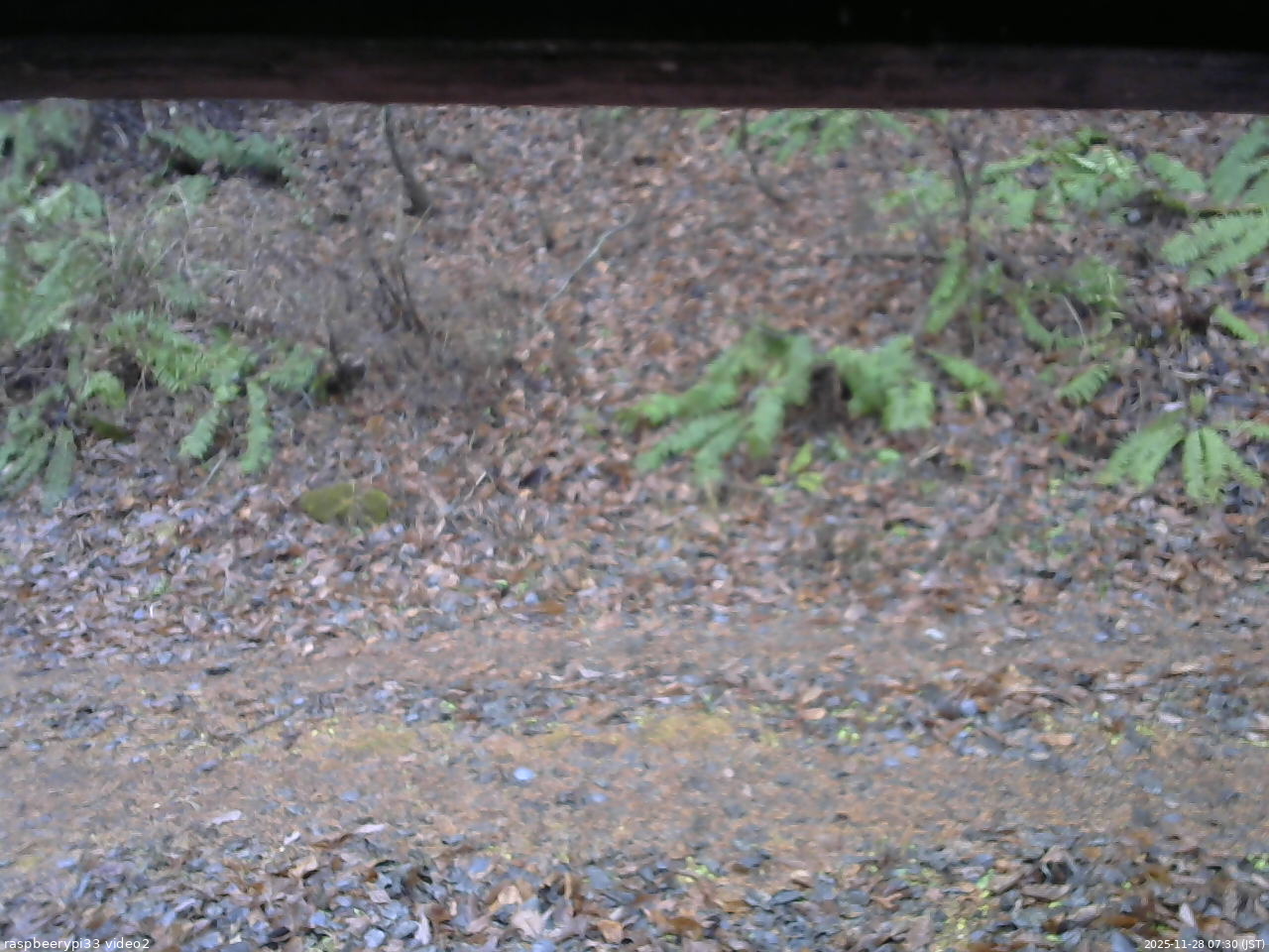 長野県菅平高原 ゆたか山荘 南側 2025/11/28 07:30