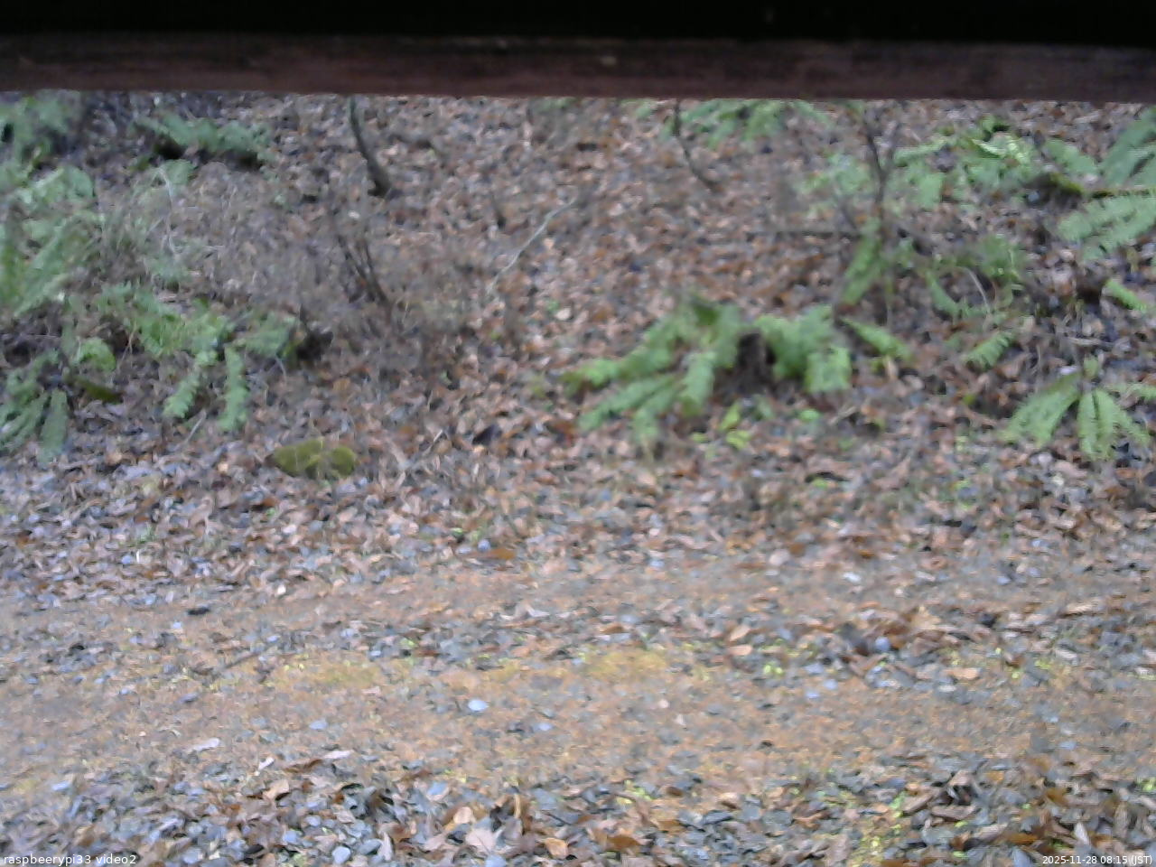 長野県菅平高原 ゆたか山荘 南側 2025/11/28 08:15