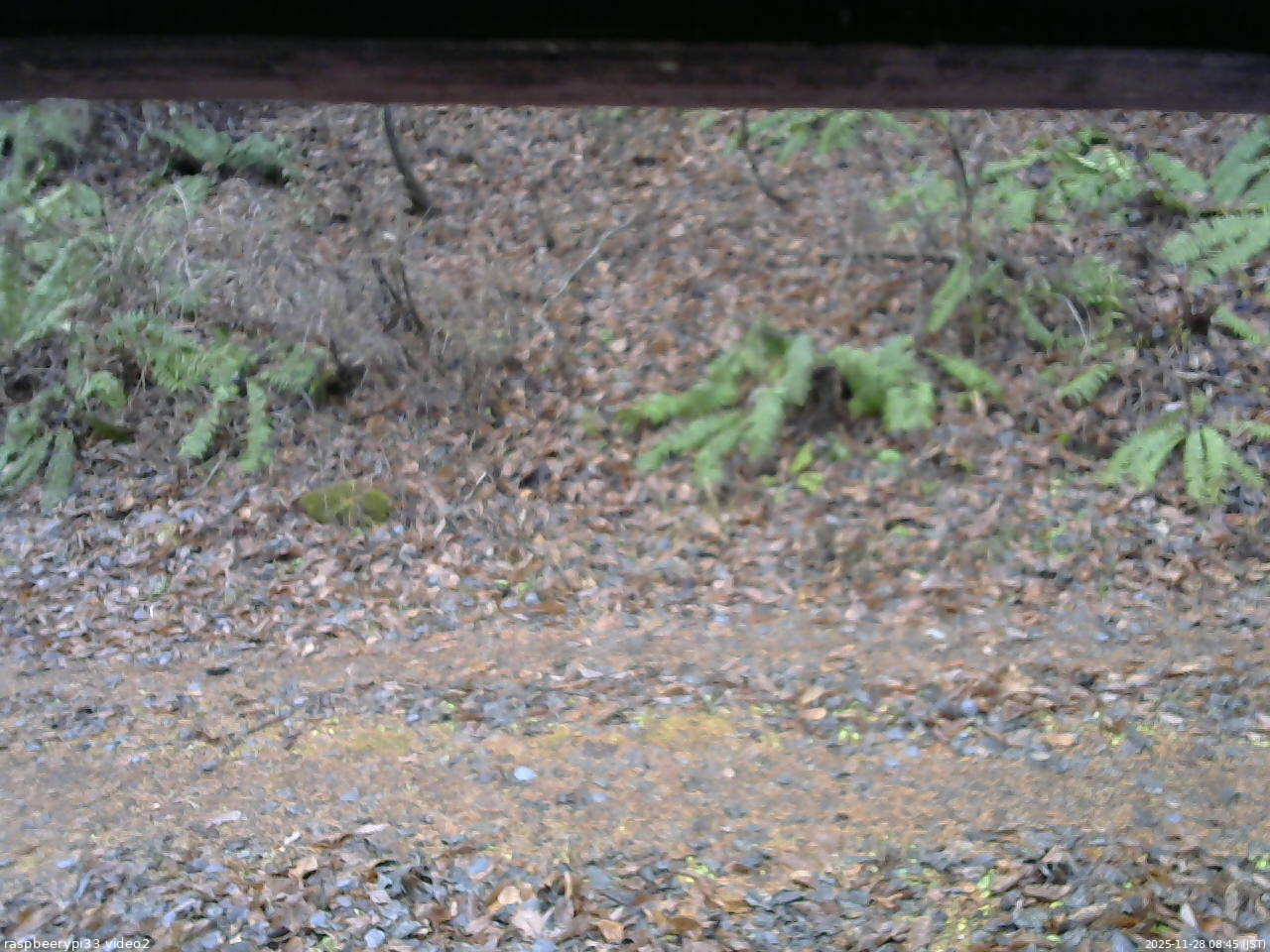 長野県菅平高原 ゆたか山荘 南側 2025/11/28 08:45