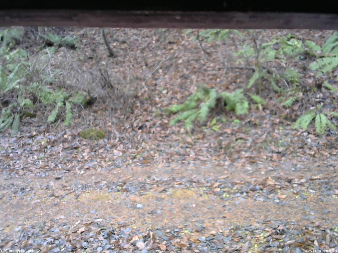 長野県菅平高原 ゆたか山荘 南側 2025/11/28 09:00