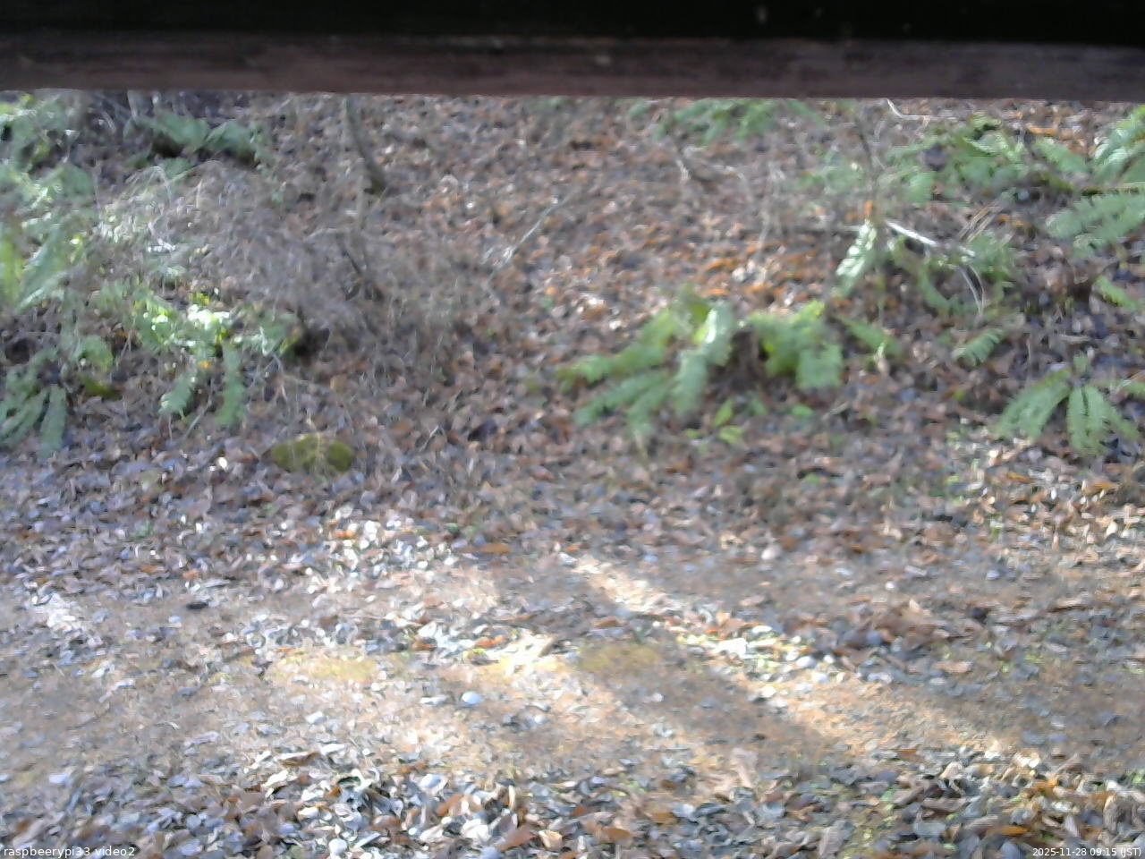 長野県菅平高原 ゆたか山荘 南側 2025/11/28 09:15