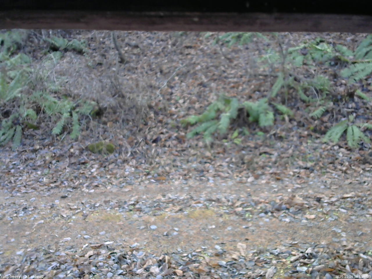長野県菅平高原 ゆたか山荘 南側 2025/11/28 10:15