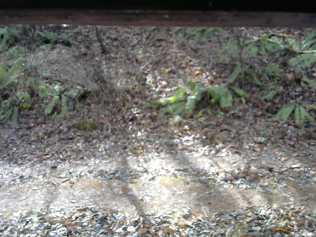 長野県菅平高原 ゆたか山荘 南側 2025/11/28 10:30
