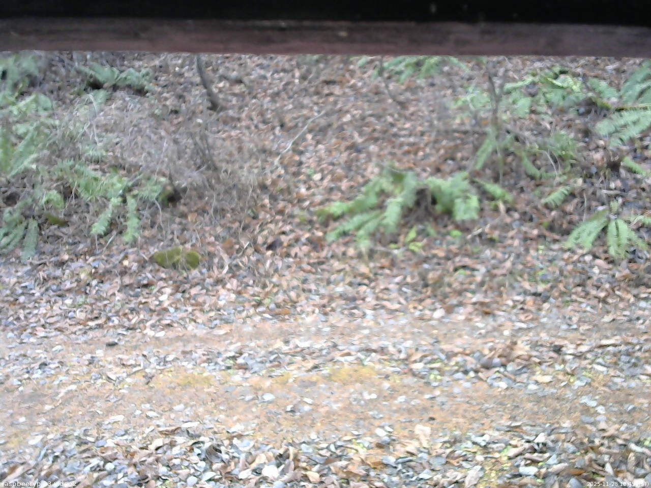 長野県菅平高原 ゆたか山荘 南側 2025/11/28 10:45