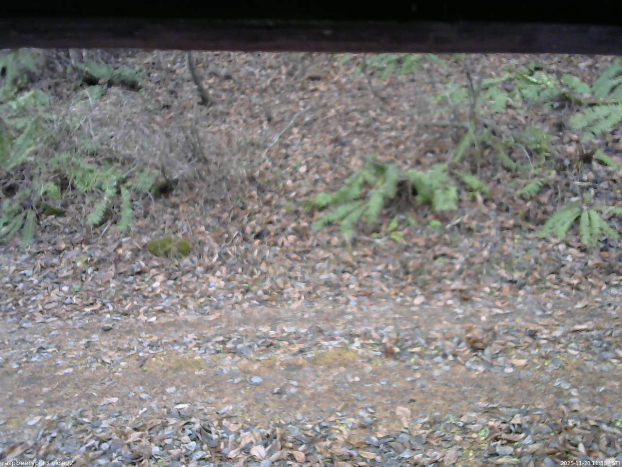 長野県菅平高原 ゆたか山荘 南側 2025/11/28 11:30