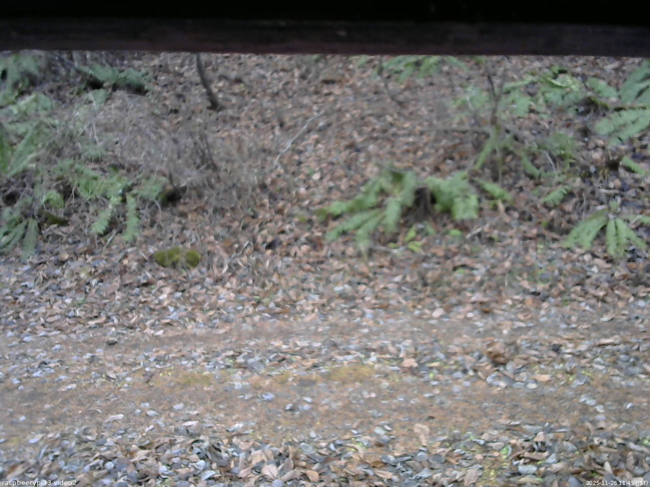 長野県菅平高原 ゆたか山荘 南側 2025/11/28 11:45