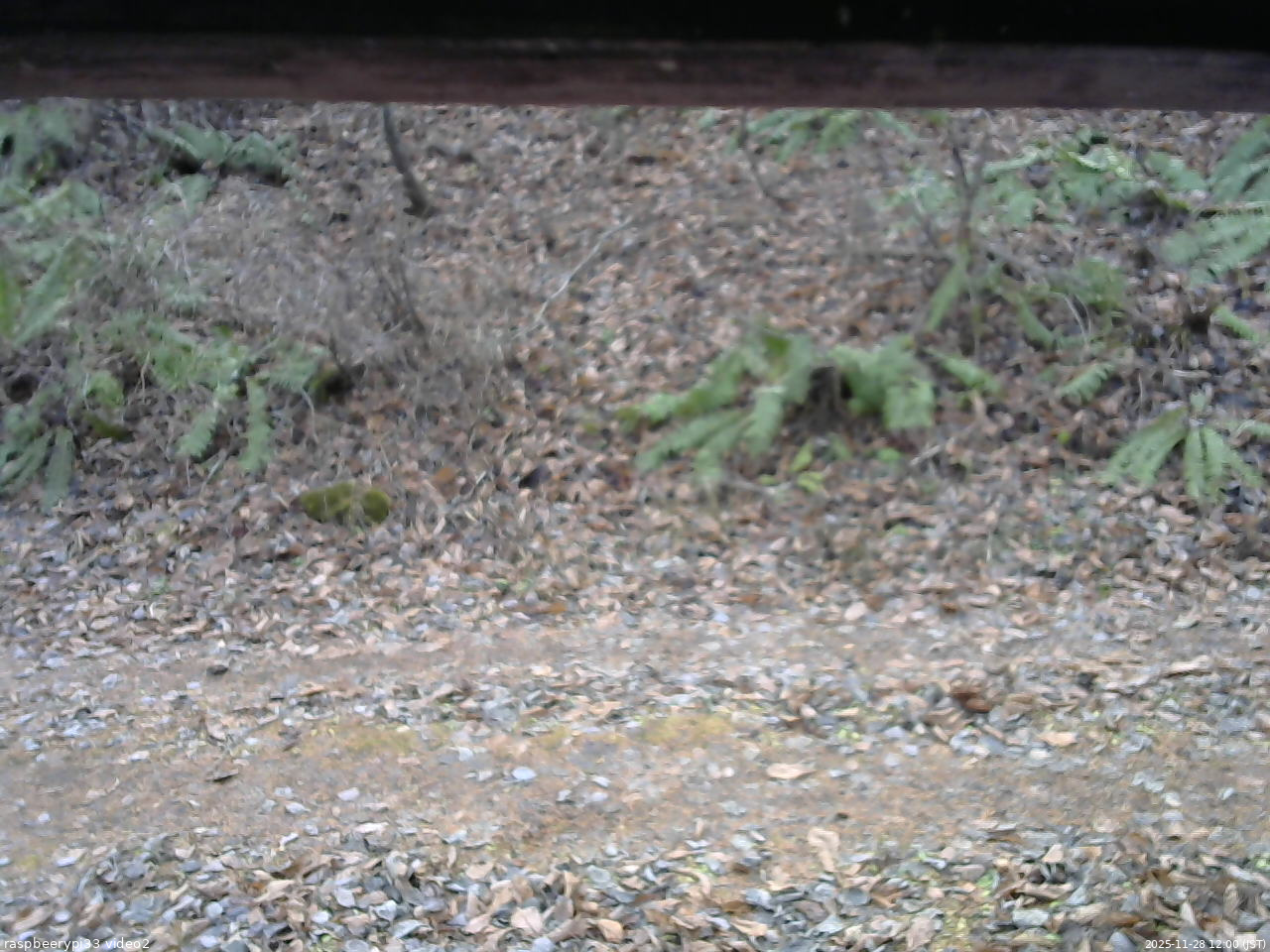 長野県菅平高原 ゆたか山荘 南側 2025/11/28 12:00
