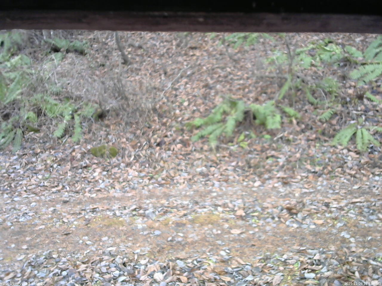 長野県菅平高原 ゆたか山荘 南側 2025/11/28 12:15