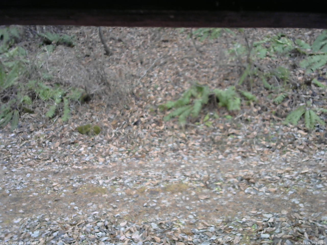 長野県菅平高原 ゆたか山荘 南側 2025/11/28 13:30