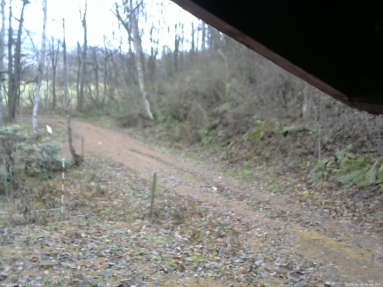 長野県菅平高原 ゆたか山荘 東側(坂下) 2025/11/28 09:45