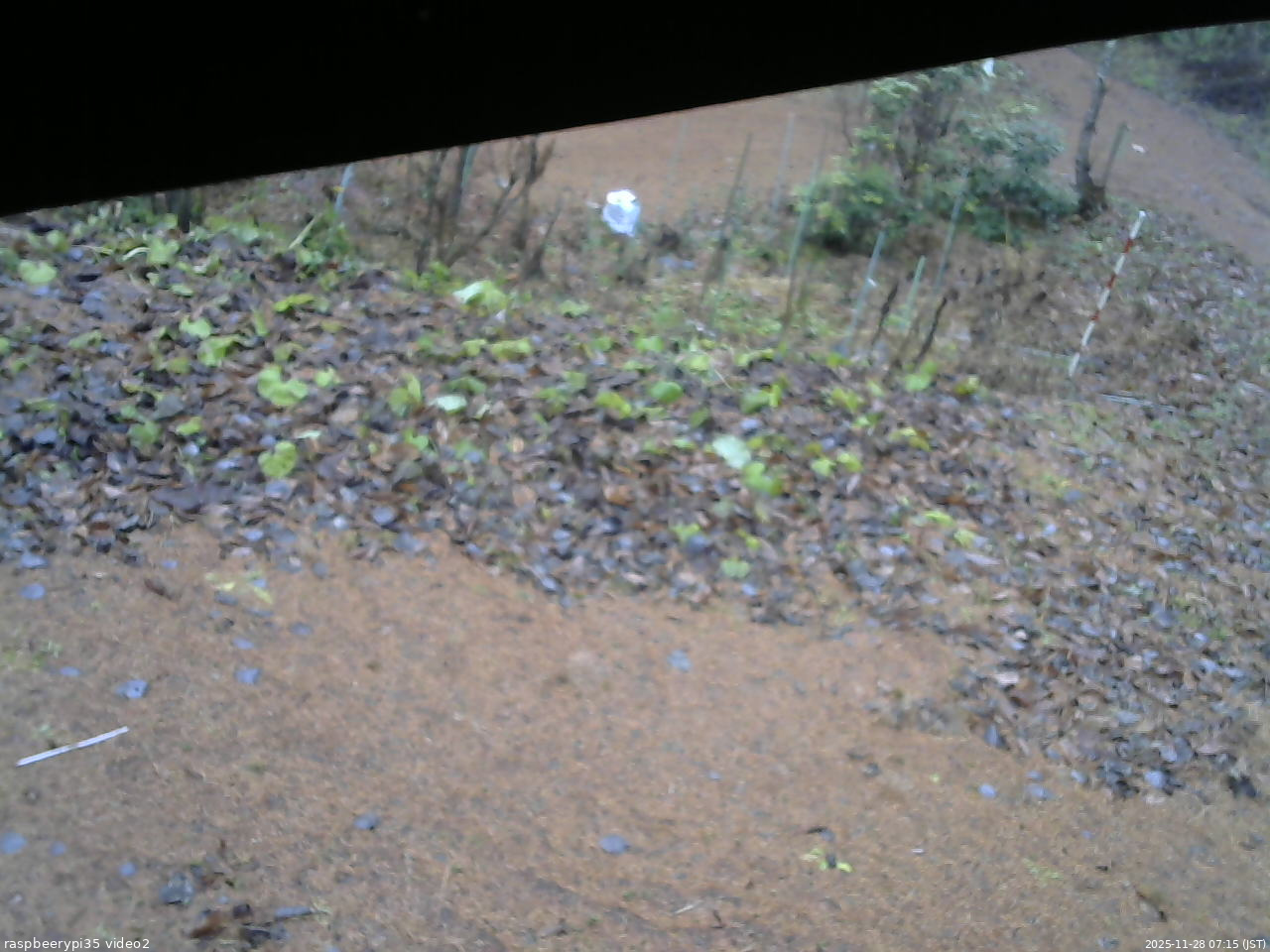 長野県菅平高原 ゆたか山荘 駐車場 2025/11/28 07:15