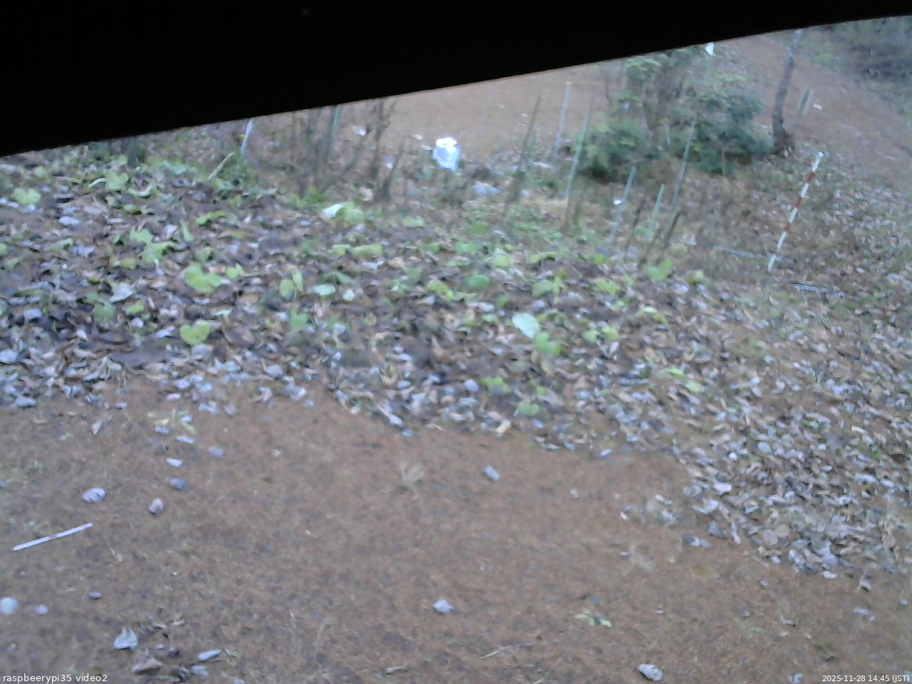 長野県菅平高原 ゆたか山荘 駐車場 2025/11/28 14:45