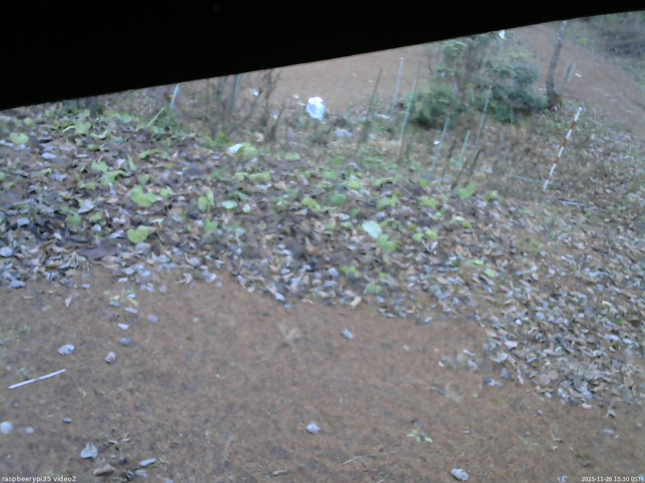 長野県菅平高原 ゆたか山荘 駐車場 2025/11/28 15:30