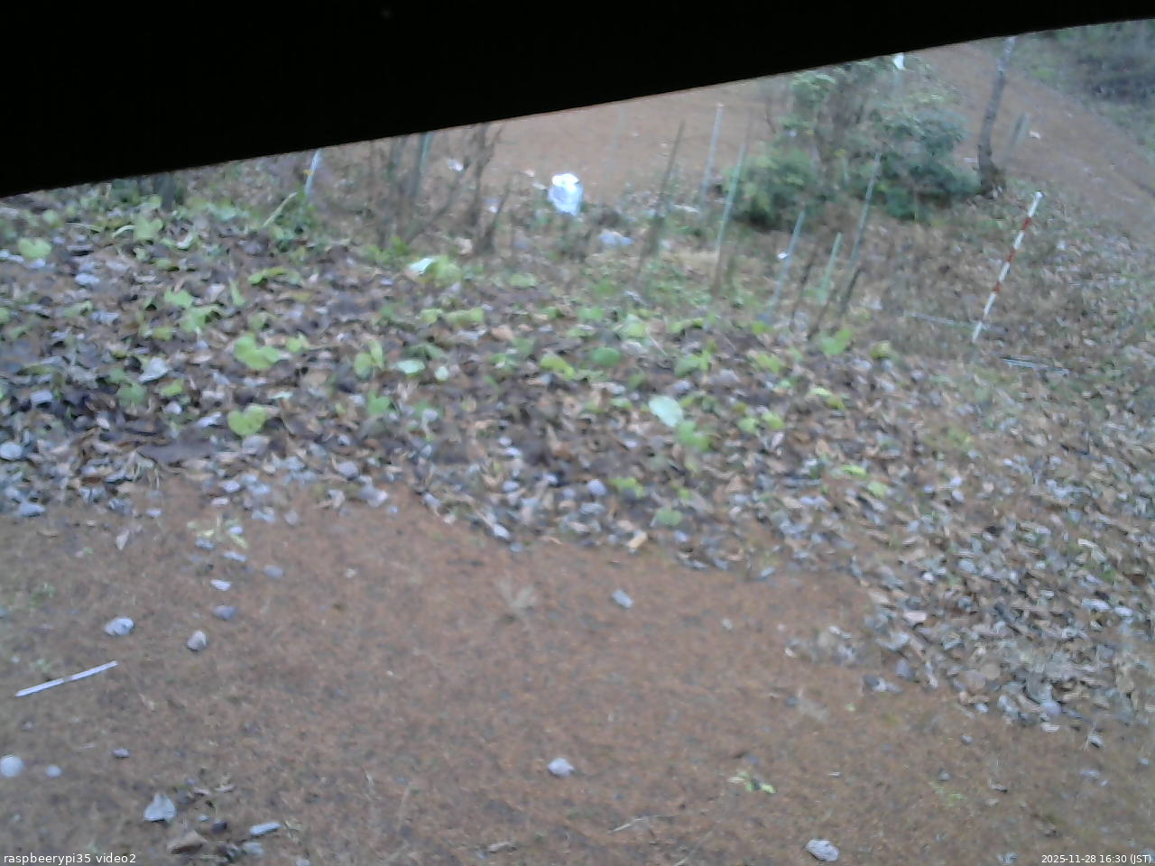 長野県菅平高原 ゆたか山荘 駐車場 2025/11/28 16:30