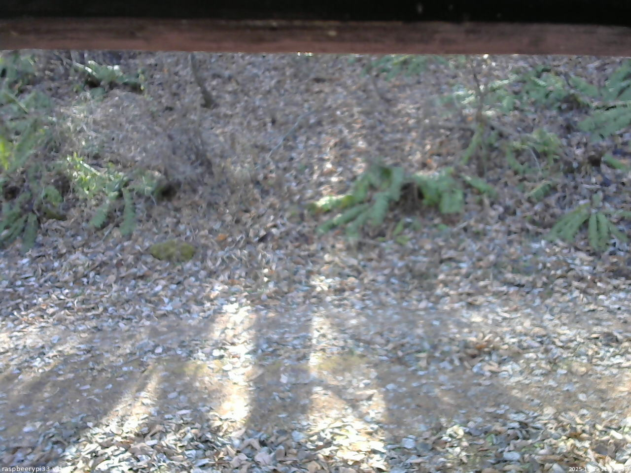 長野県菅平高原 ゆたか山荘 南側 2025/11/29 11:30