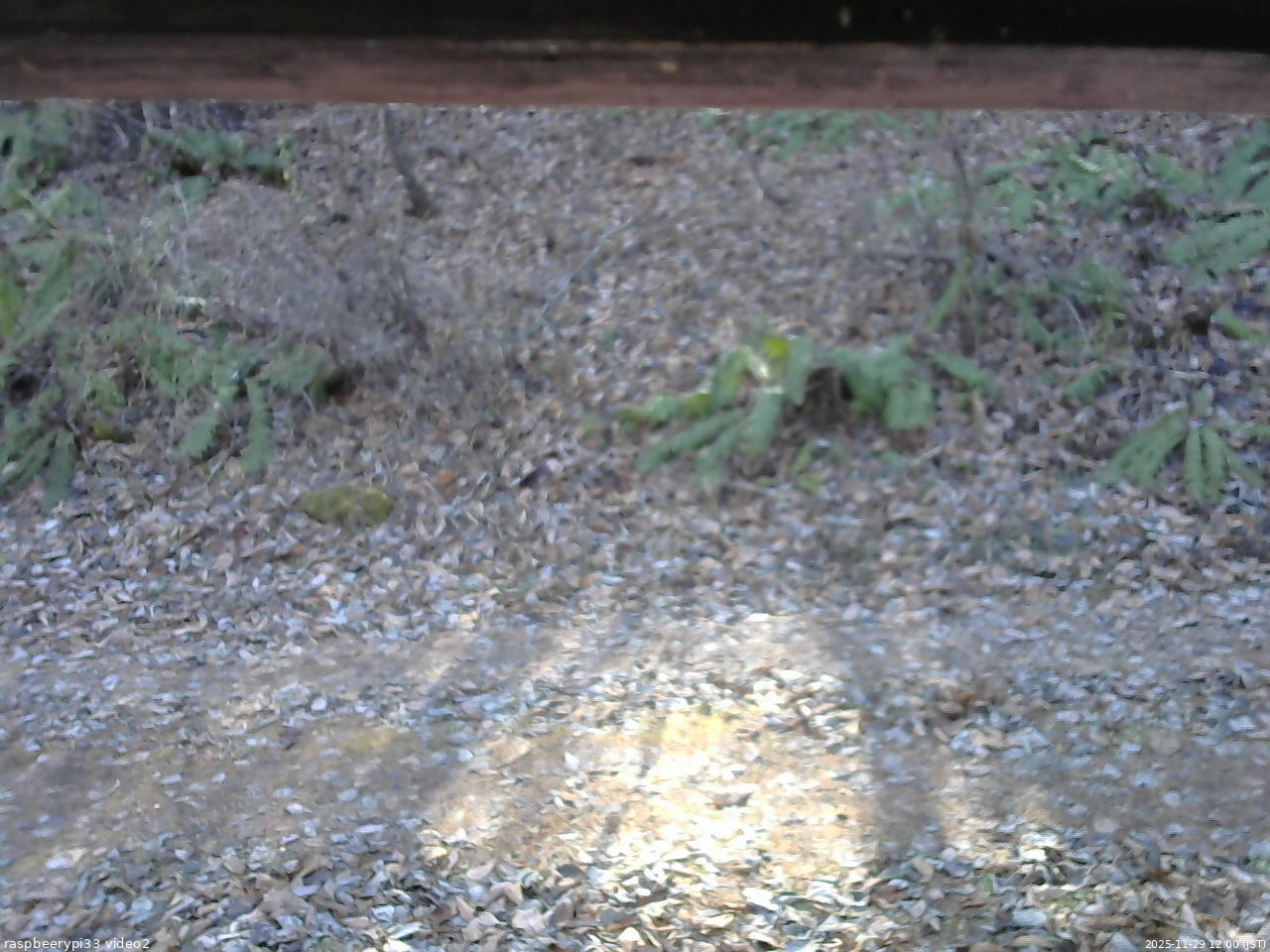 長野県菅平高原 ゆたか山荘 南側 2025/11/29 12:00