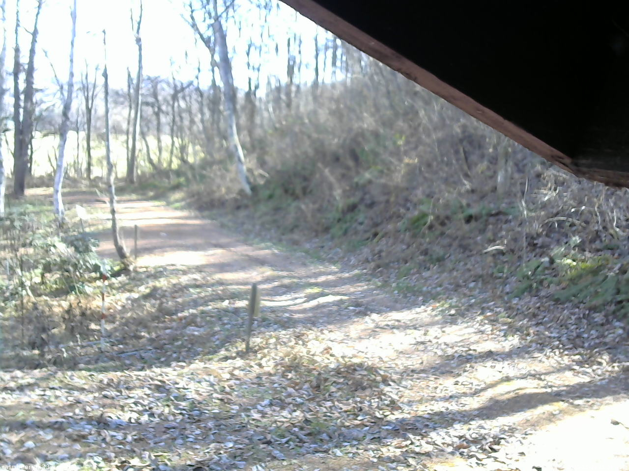 長野県菅平高原 ゆたか山荘 東側(坂下) 2025/11/29 11:00
