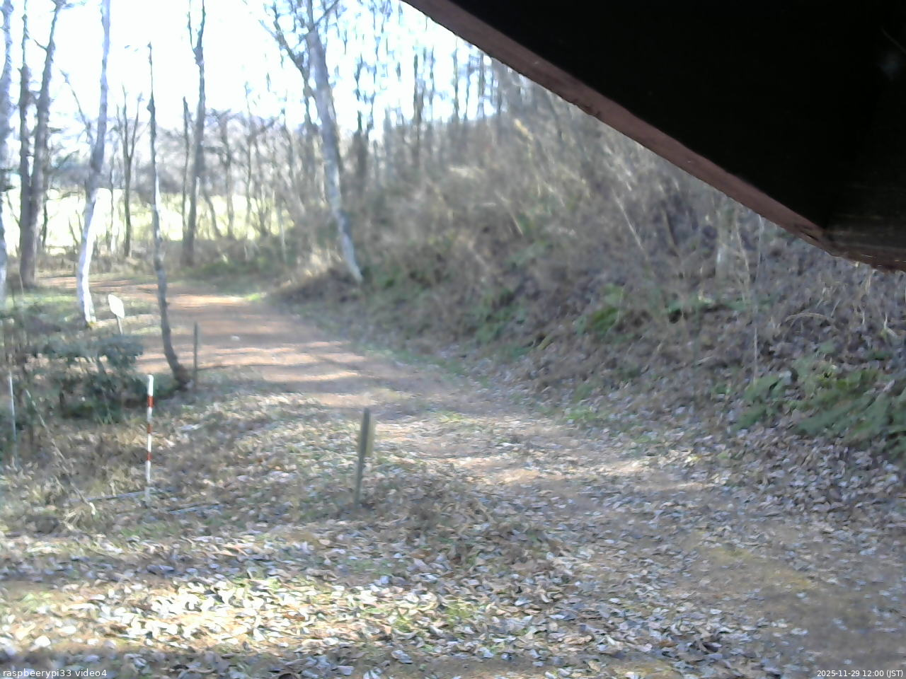 長野県菅平高原 ゆたか山荘 東側(坂下) 2025/11/29 12:00
