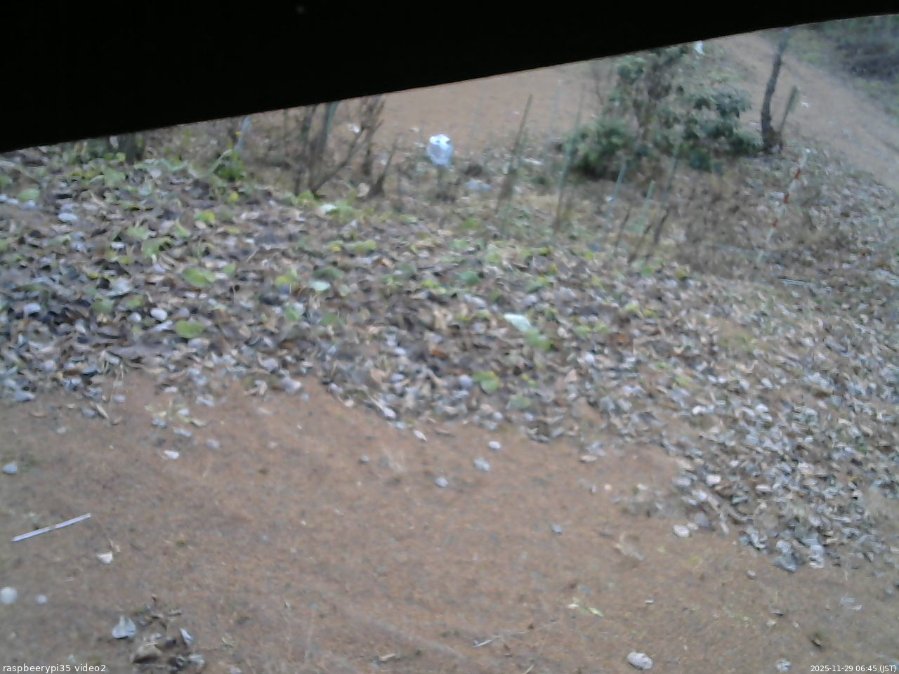 長野県菅平高原 ゆたか山荘 駐車場 2025/11/29 06:45