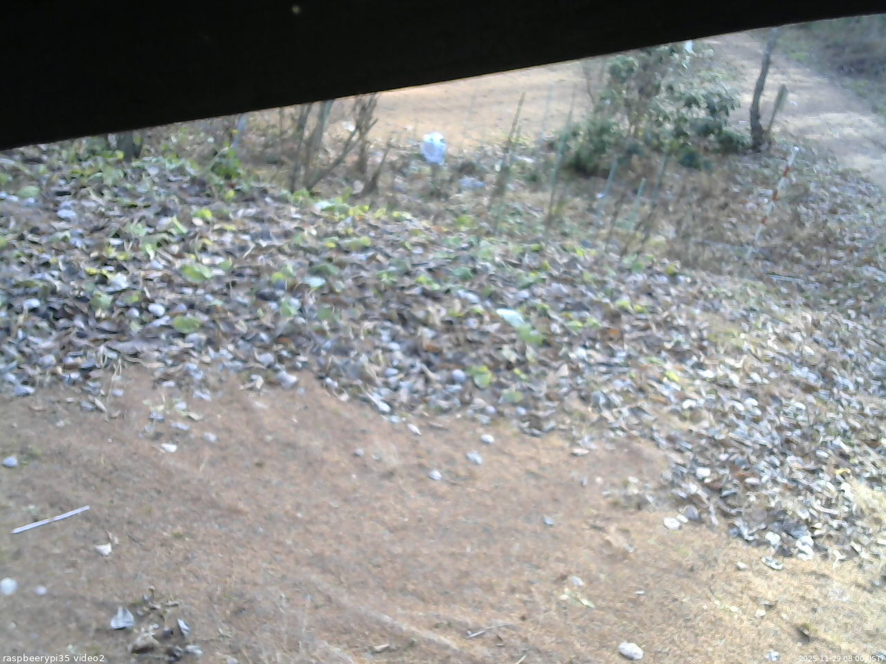 長野県菅平高原 ゆたか山荘 駐車場 2025/11/29 08:00