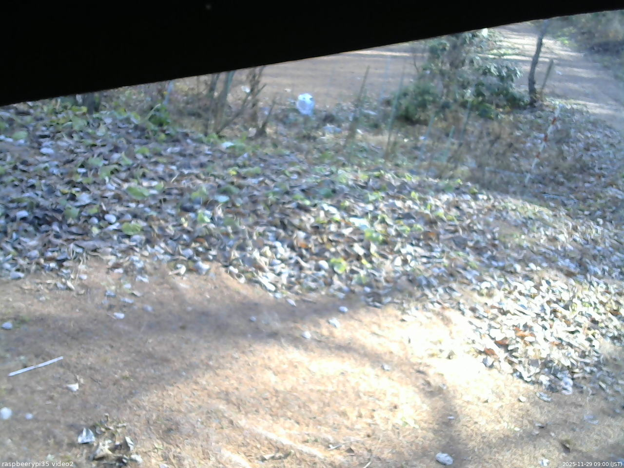 長野県菅平高原 ゆたか山荘 駐車場 2025/11/29 09:00