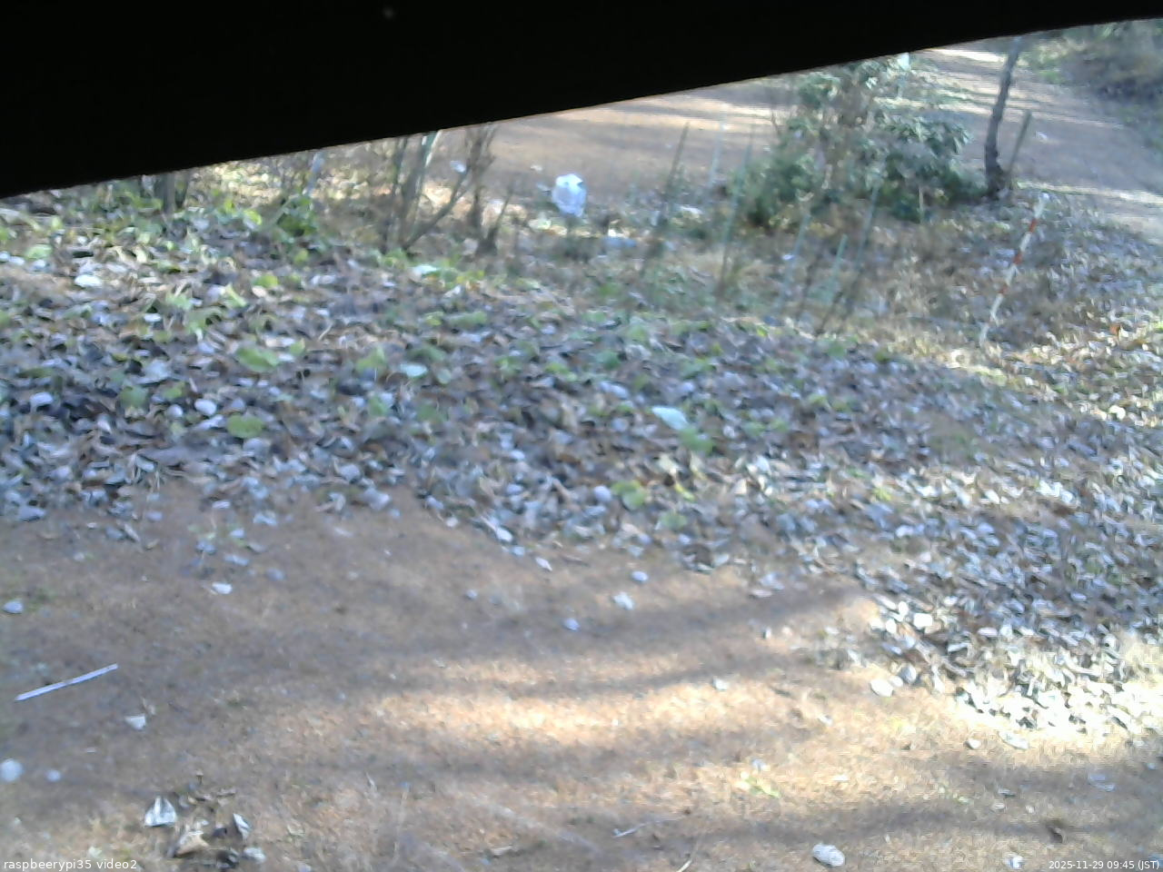 長野県菅平高原 ゆたか山荘 駐車場 2025/11/29 09:45